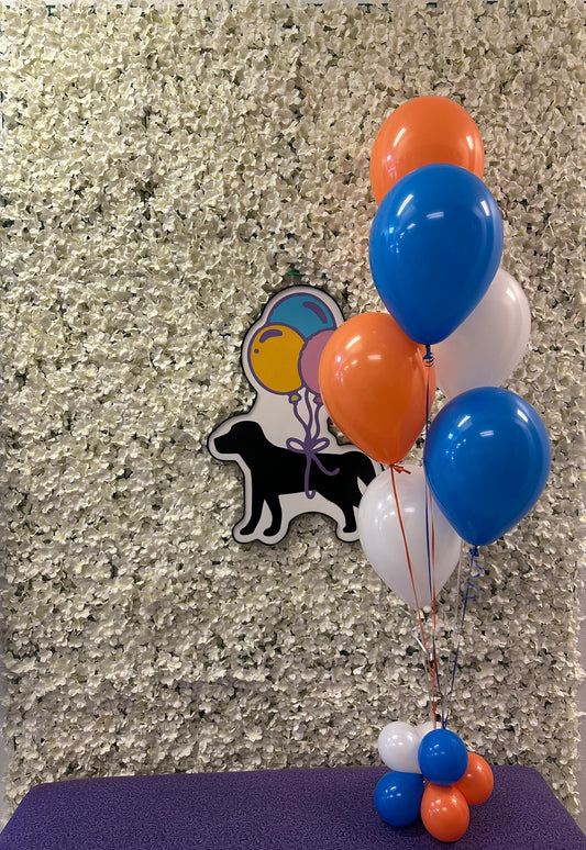 J’s Helium Bundle (Up to 3 Colors)