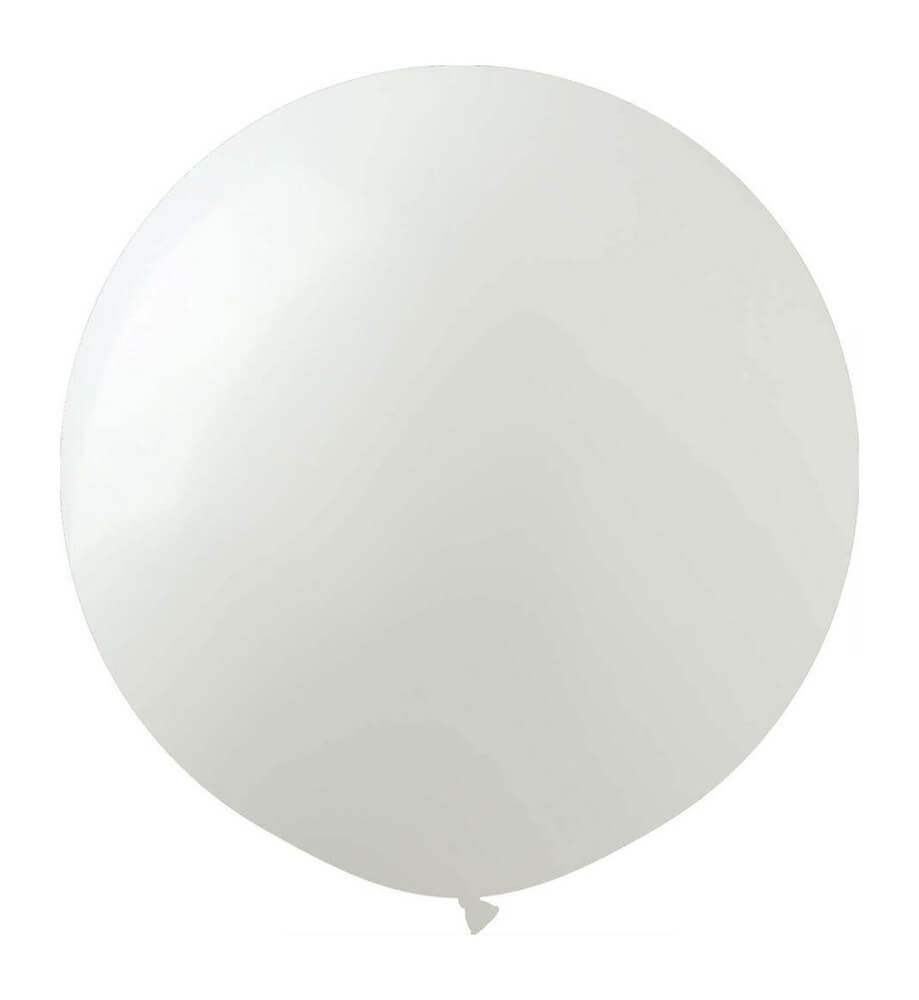 ProLatex White 12" 50 Ct