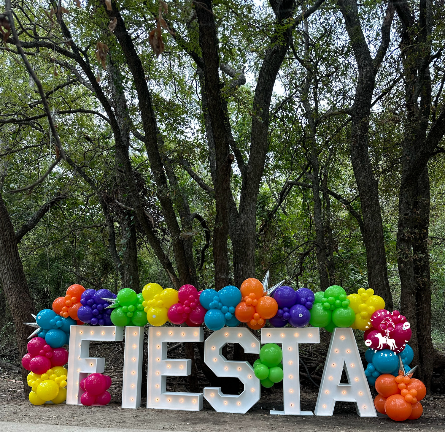 Let's Fiesta