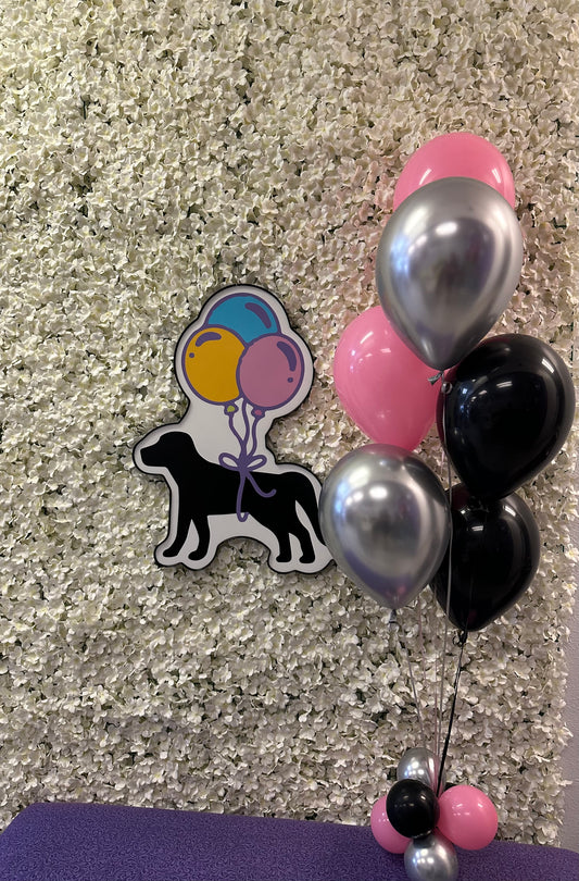 J’s Helium Bundle (Up to 3 Colors)